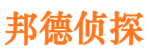 汝城市调查公司